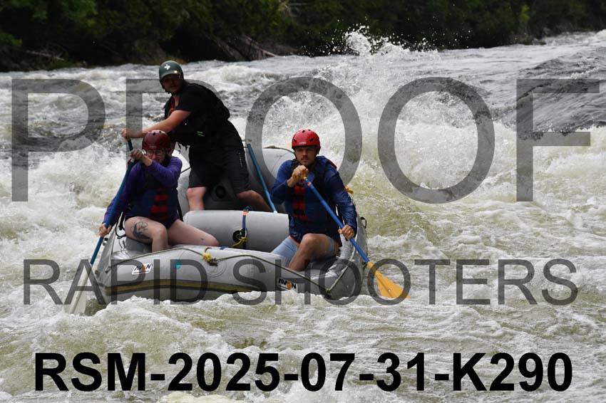 RSM-2025-07-31-K290