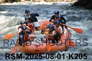 RSM-2025-08-01-K205