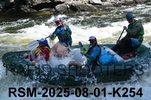 RSM-2025-08-01-K254