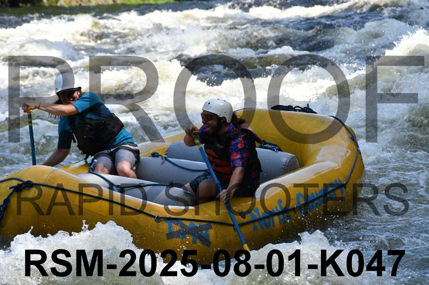 RSM-2025-08-01-K047
