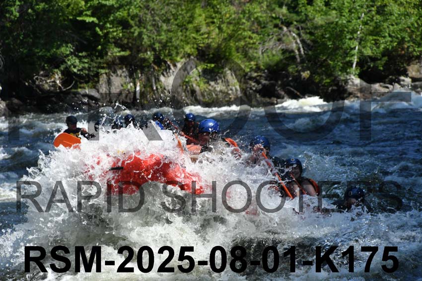 RSM-2025-08-01-K175