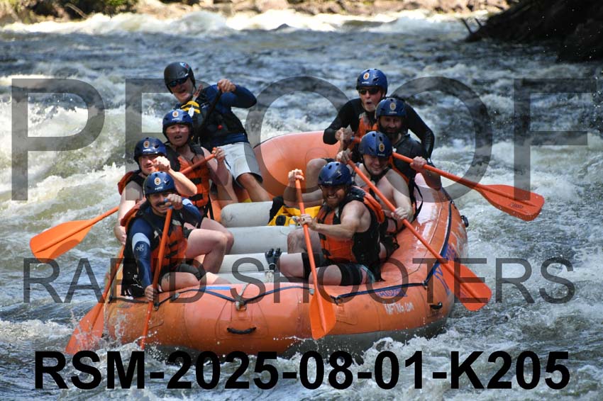 RSM-2025-08-01-K205