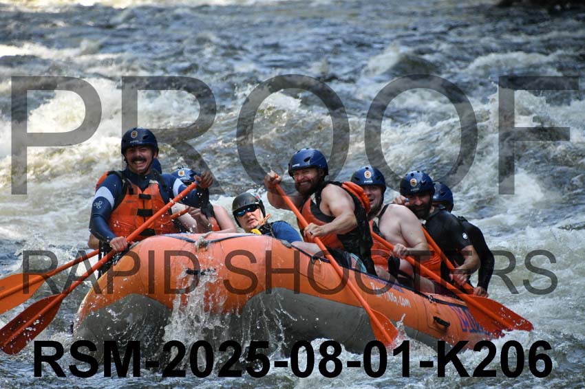 RSM-2025-08-01-K206