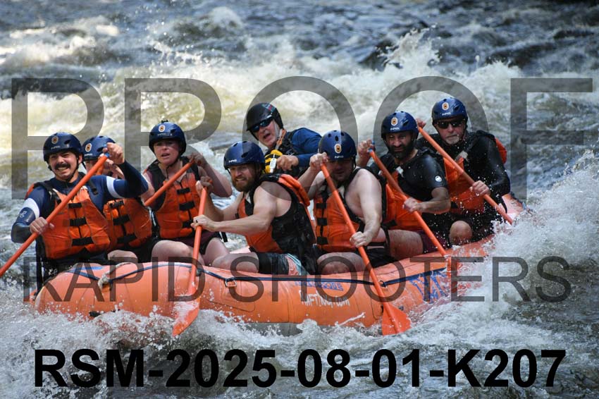 RSM-2025-08-01-K207