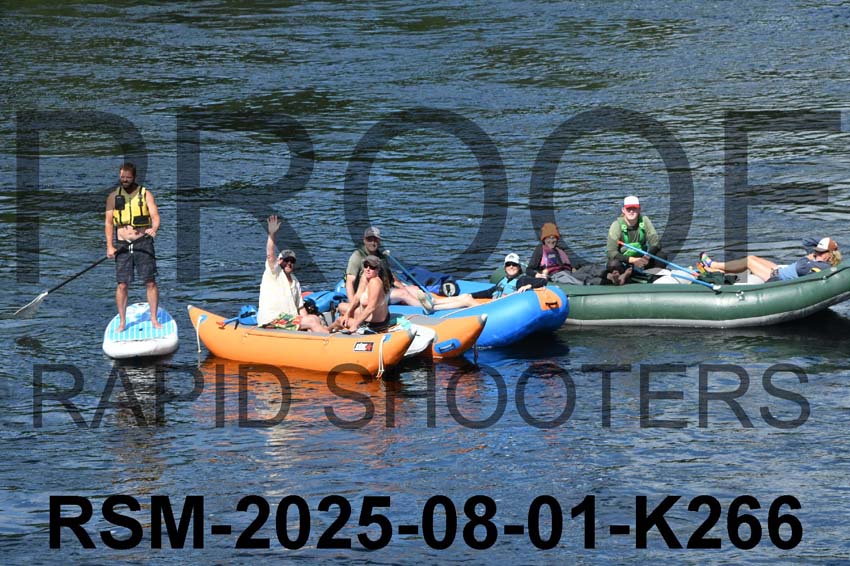 RSM-2025-08-01-K266