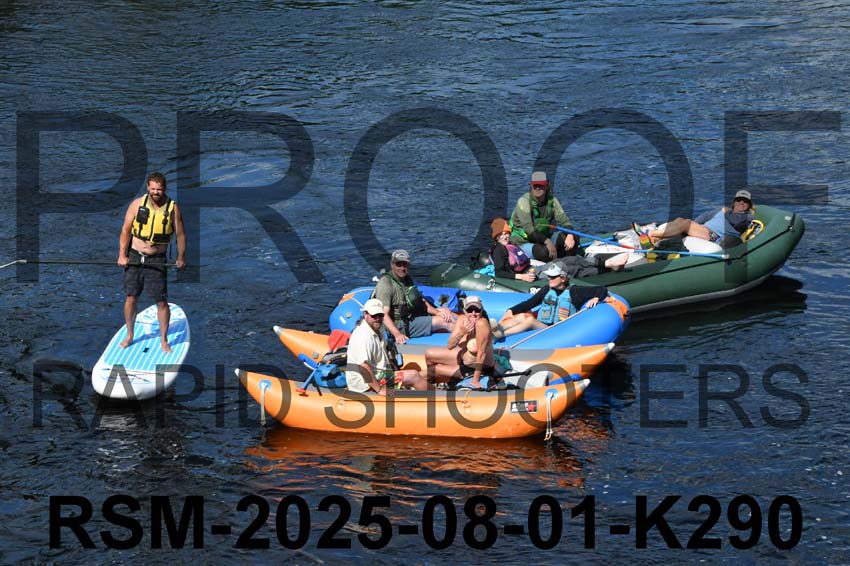 RSM-2025-08-01-K290