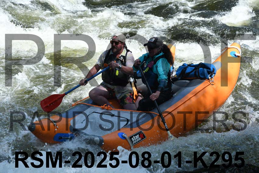 RSM-2025-08-01-K295