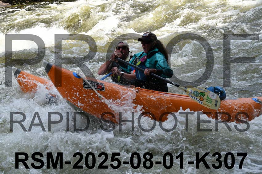 RSM-2025-08-01-K307