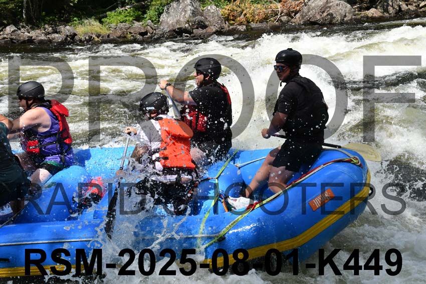 RSM-2025-08-01-K449