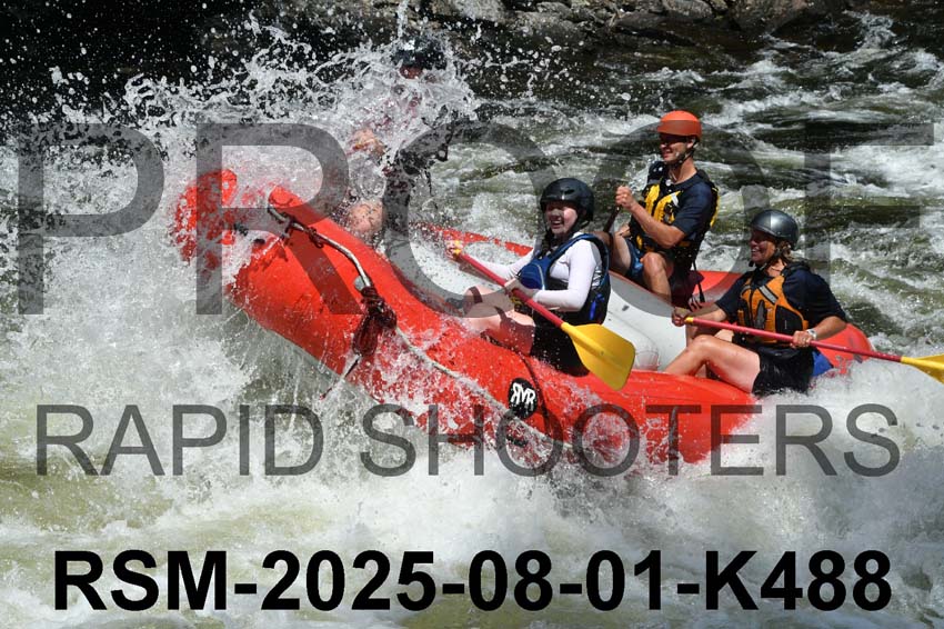 RSM-2025-08-01-K488
