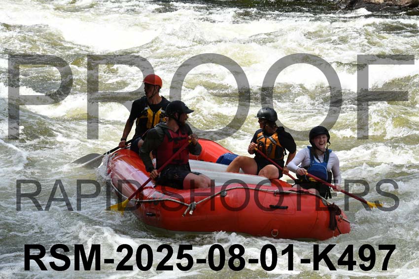 RSM-2025-08-01-K497