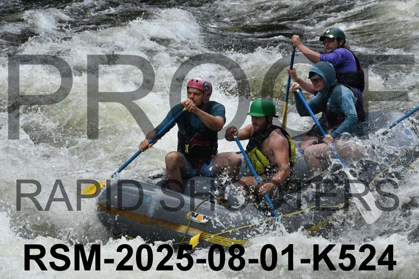 RSM-2025-08-01-K524