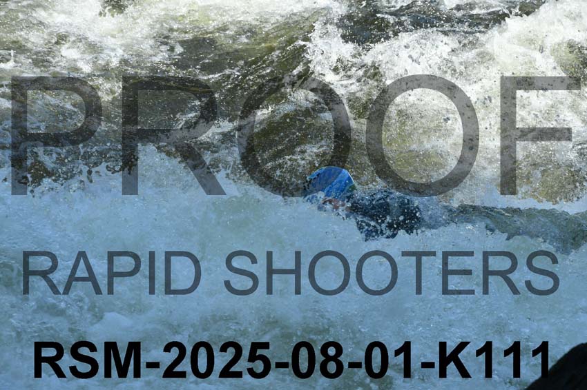 RSM-2025-08-01-K111