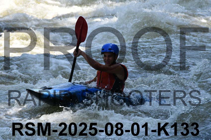 RSM-2025-08-01-K133