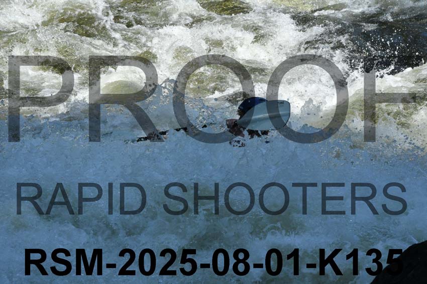 RSM-2025-08-01-K135