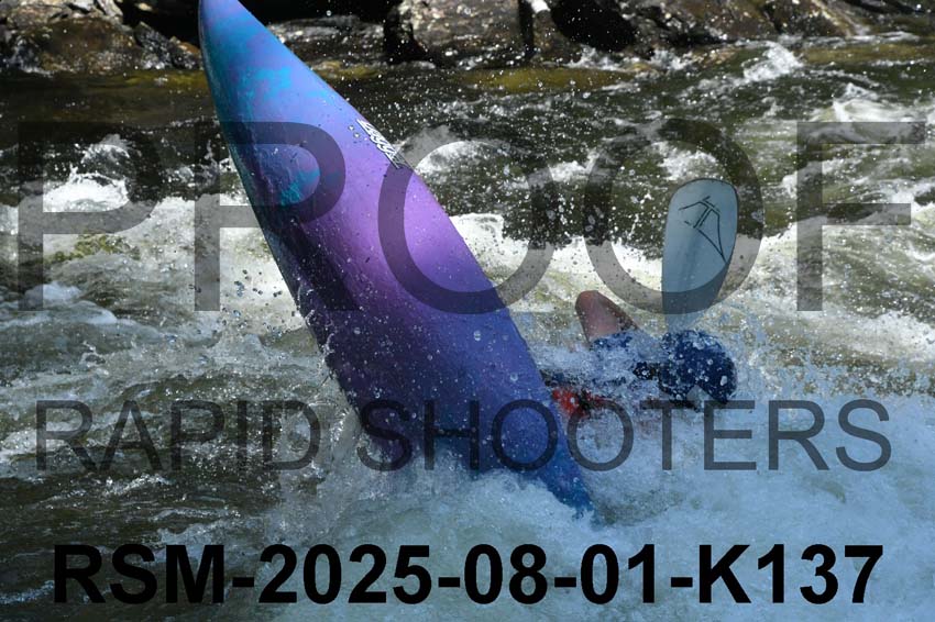 RSM-2025-08-01-K137