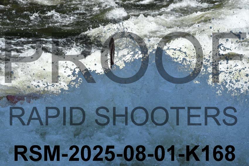 RSM-2025-08-01-K168