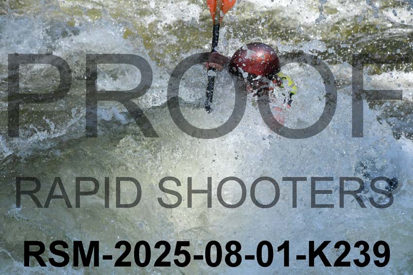 RSM-2025-08-01-K239