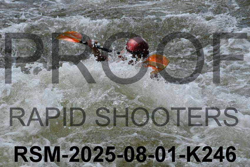 RSM-2025-08-01-K246