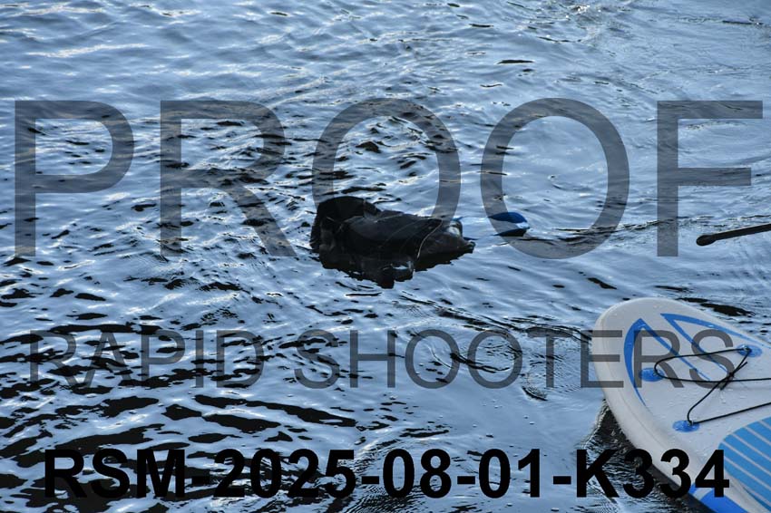 RSM-2025-08-01-K334