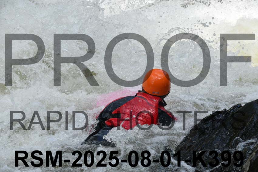 RSM-2025-08-01-K399