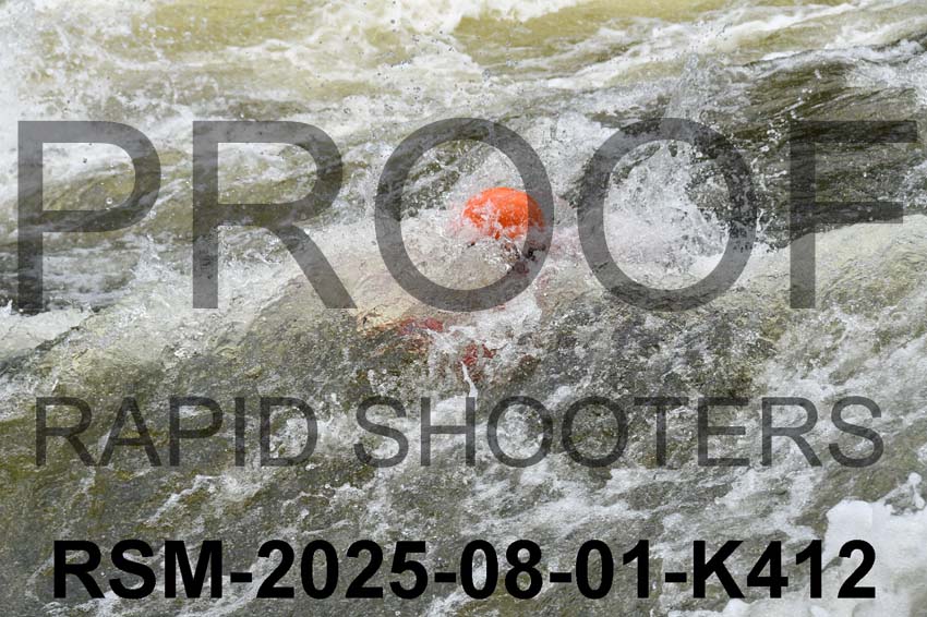 RSM-2025-08-01-K412