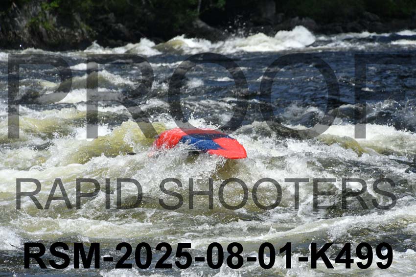 RSM-2025-08-01-K499