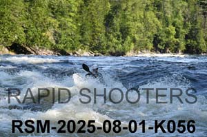 RSM-2025-08-01-K056