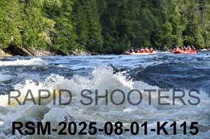 RSM-2025-08-01-K115