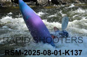 RSM-2025-08-01-K137