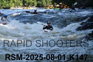 RSM-2025-08-01-K147