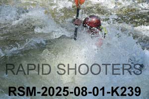 RSM-2025-08-01-K239