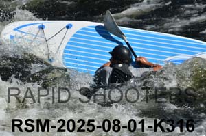 RSM-2025-08-01-K316