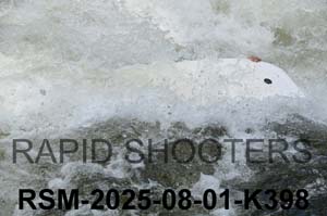 RSM-2025-08-01-K398