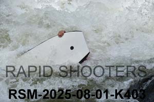 RSM-2025-08-01-K403