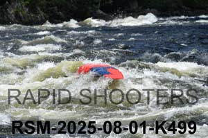 RSM-2025-08-01-K499