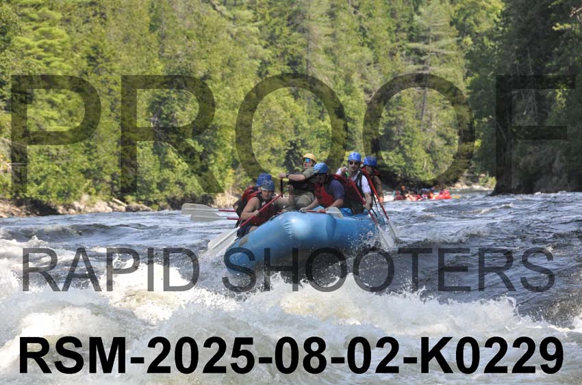 RSM-2025-08-02-K0229