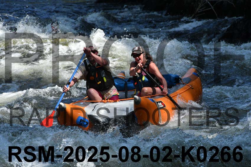 RSM-2025-08-02-K0266