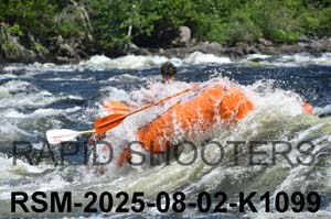 RSM-2025-08-02-K1099