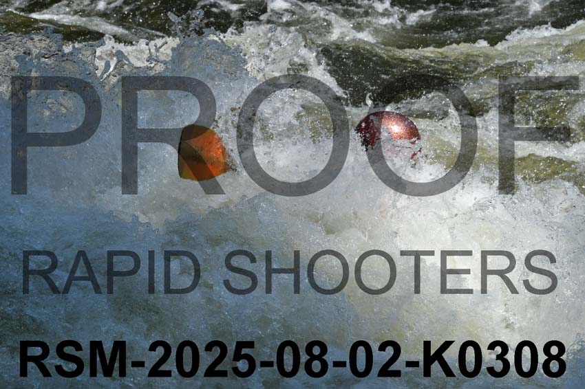 RSM-2025-08-02-K0308