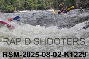RSM-2025-08-02-K1229