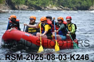 RSM-2025-08-03-K246