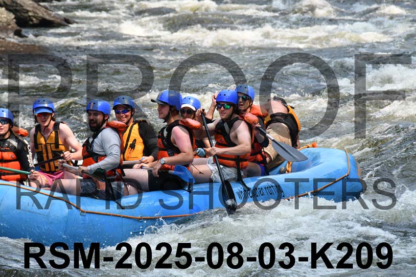 RSM-2025-08-03-K209