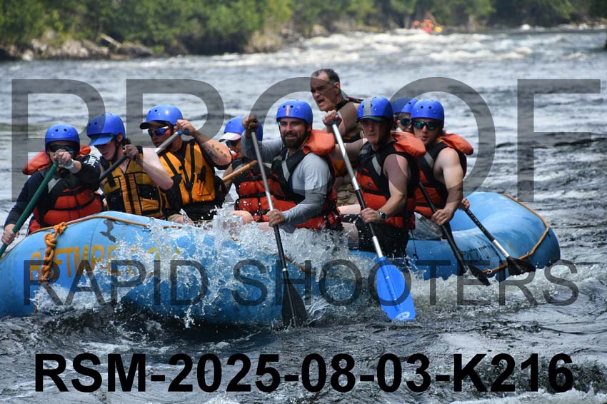 RSM-2025-08-03-K216
