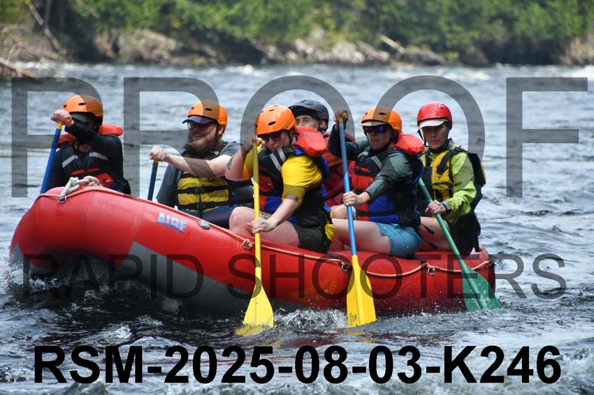 RSM-2025-08-03-K246