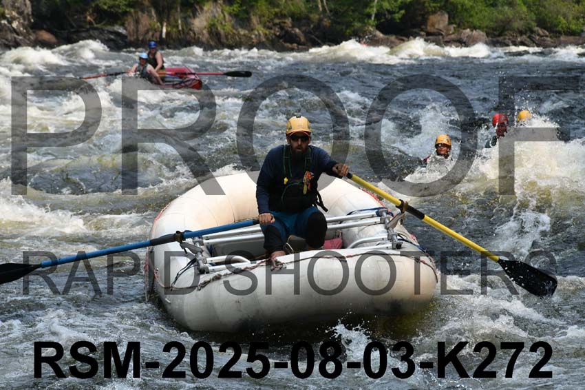 RSM-2025-08-03-K272