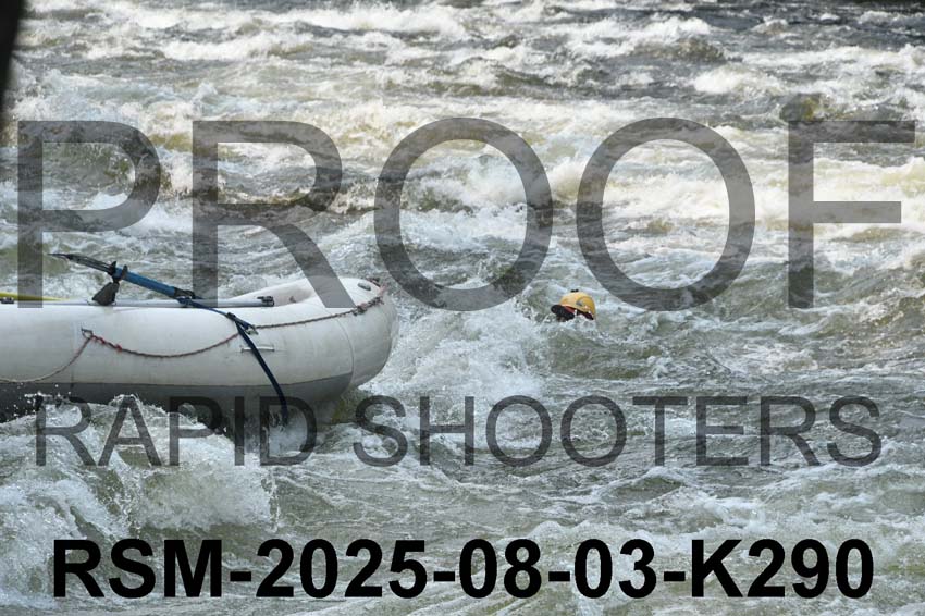 RSM-2025-08-03-K290