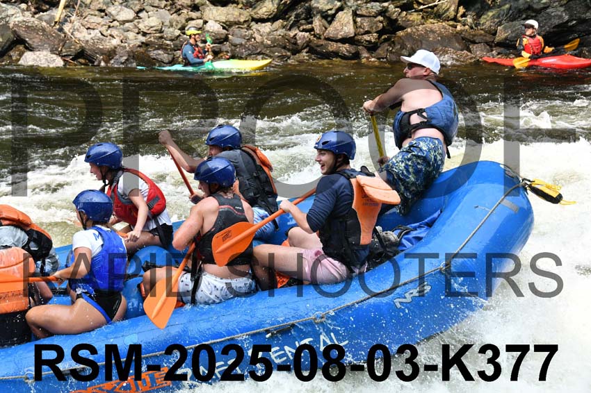 RSM-2025-08-03-K377