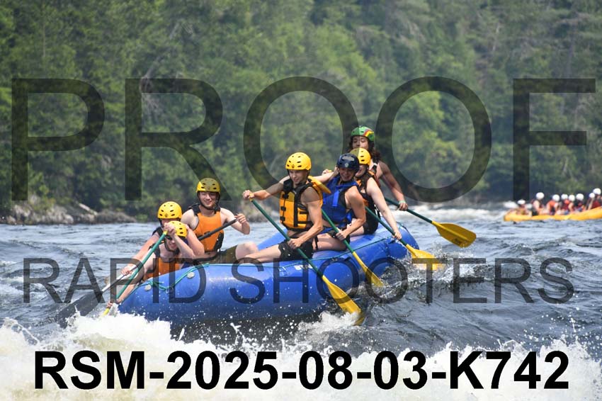RSM-2025-08-03-K742