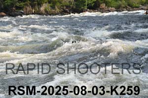 RSM-2025-08-03-K259
